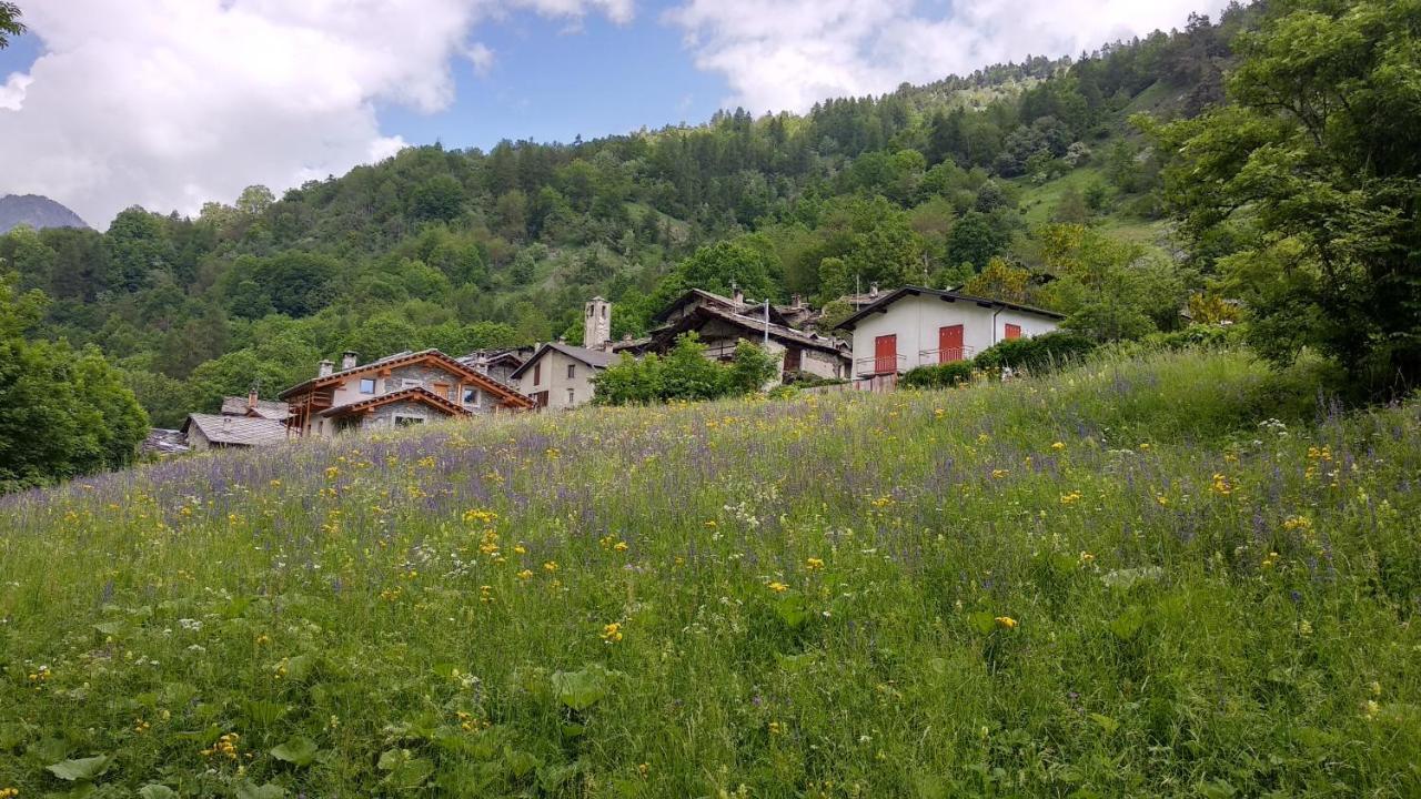 Delfin Dal Pianhol Hotel Casteldelfino Exterior foto